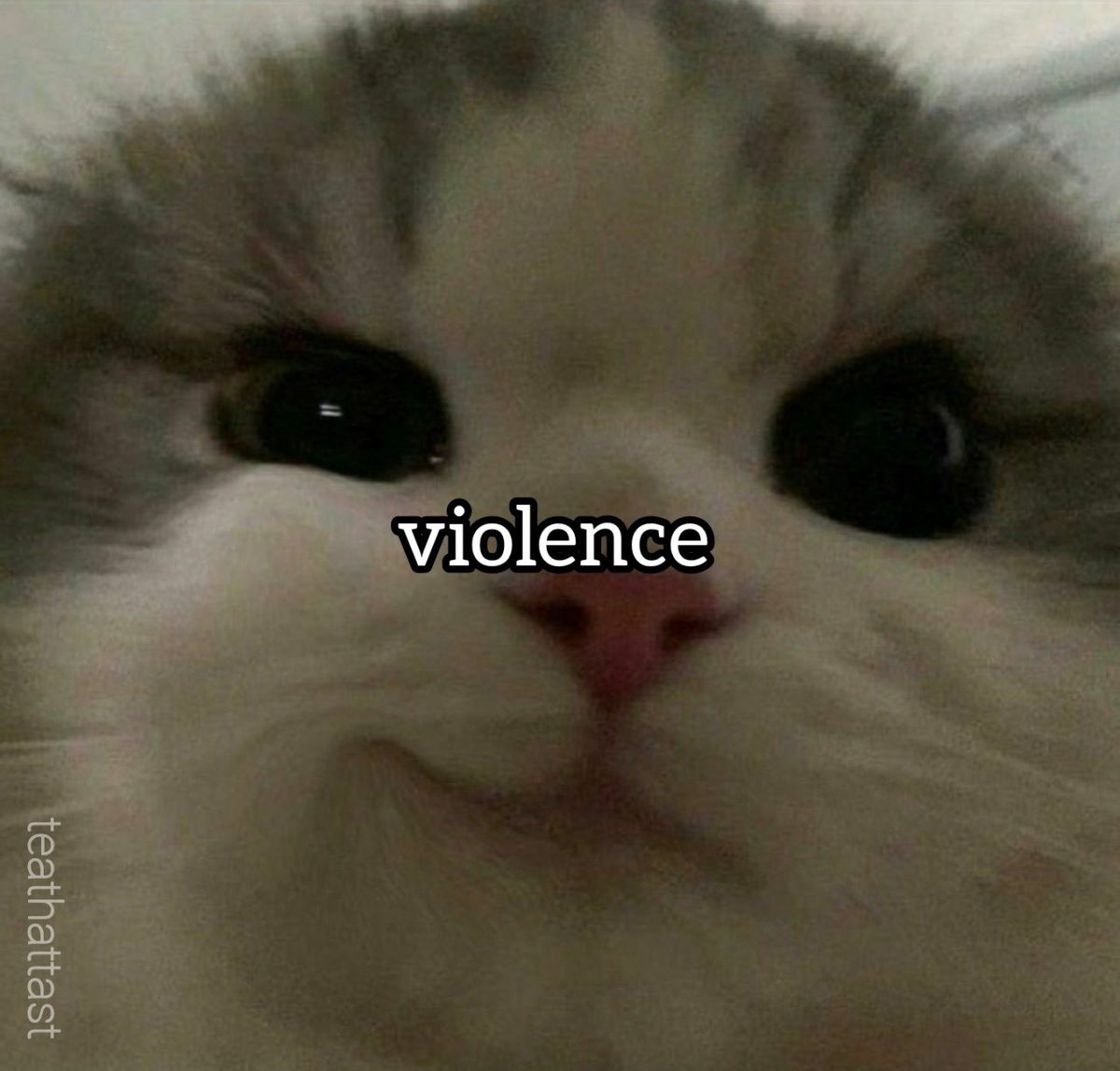 MEPHSNAKES's tweet photo. i’m so so tired from EdGy professors i dont careeeee about you being a misanthrope. youre not 15 yo on tumblr anymore. grow up https://t.co/t4W3XGCCbE