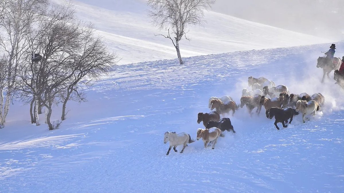 Winter is coming in some places of north China's Hebei Province