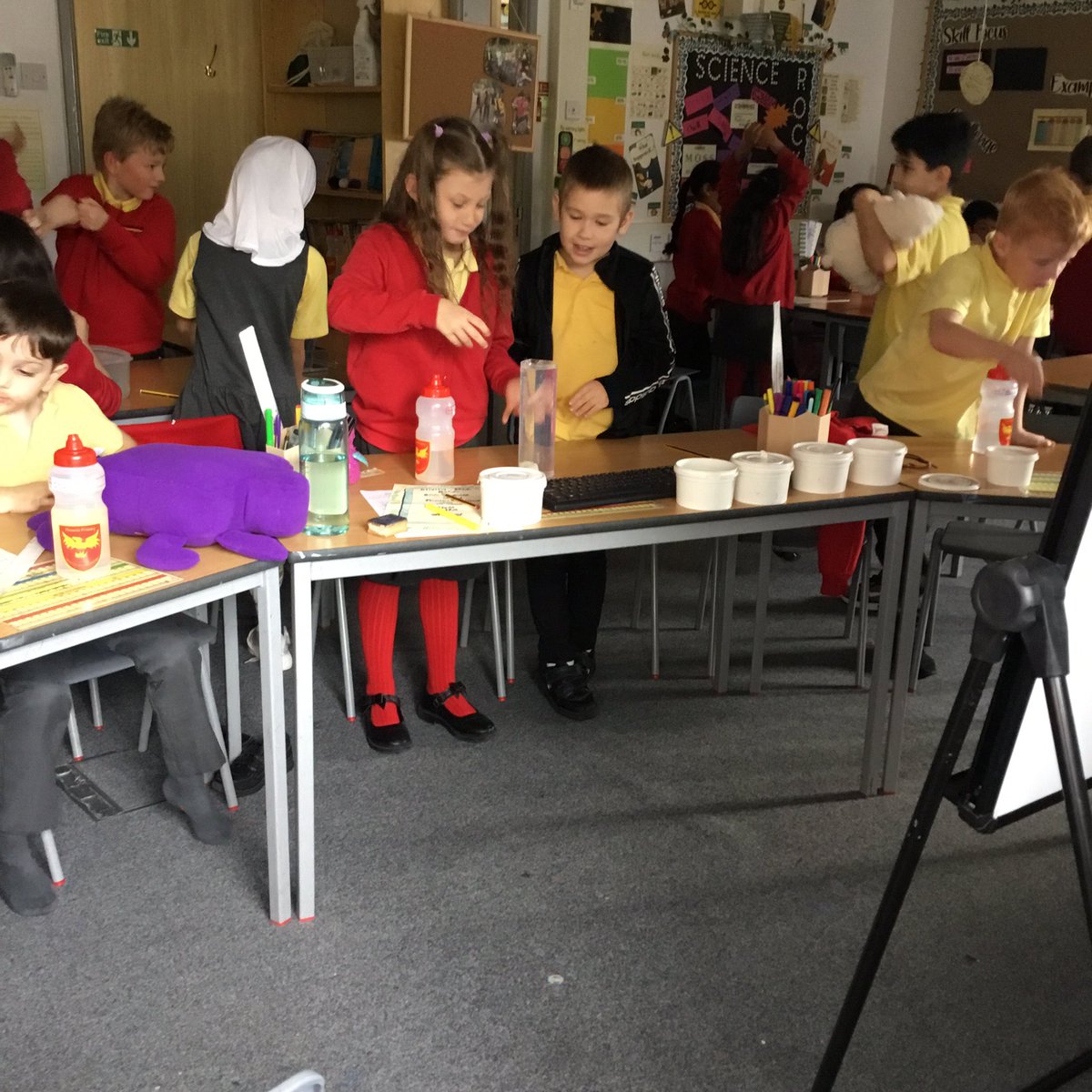 Year Three Phoenix Primary tweet media