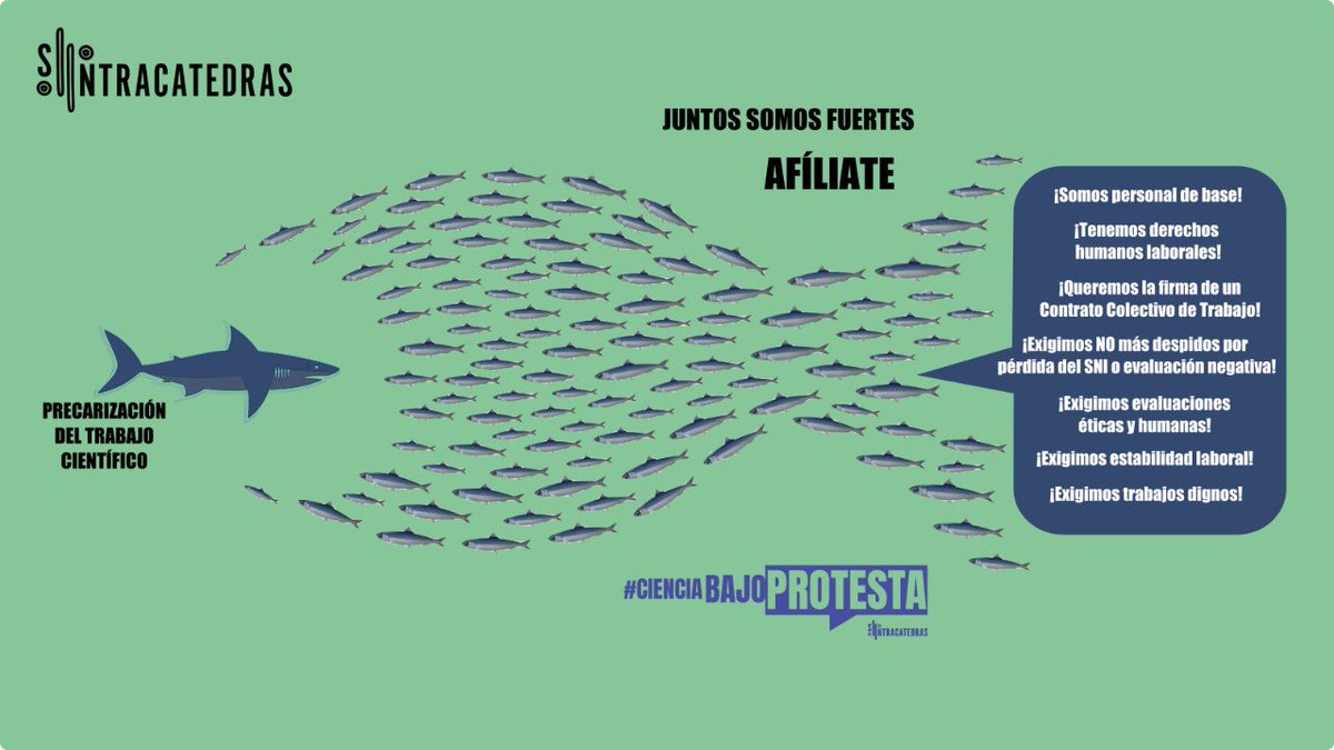 #Juntossomosmásfuertes Conoce y afíliate a tu sindicato