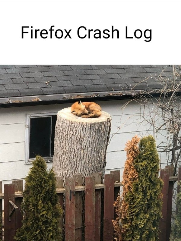 PPJC_official's tweet photo. Ten mem mnie tak urzekł, że musiałem Wam podrzucić :D A przy okazji, jesteście #TeamFireFox, #TeamChrome czy #TeamCośTamJeszczeInnego? 😛 https://t.co/zPbLx0LOKq
