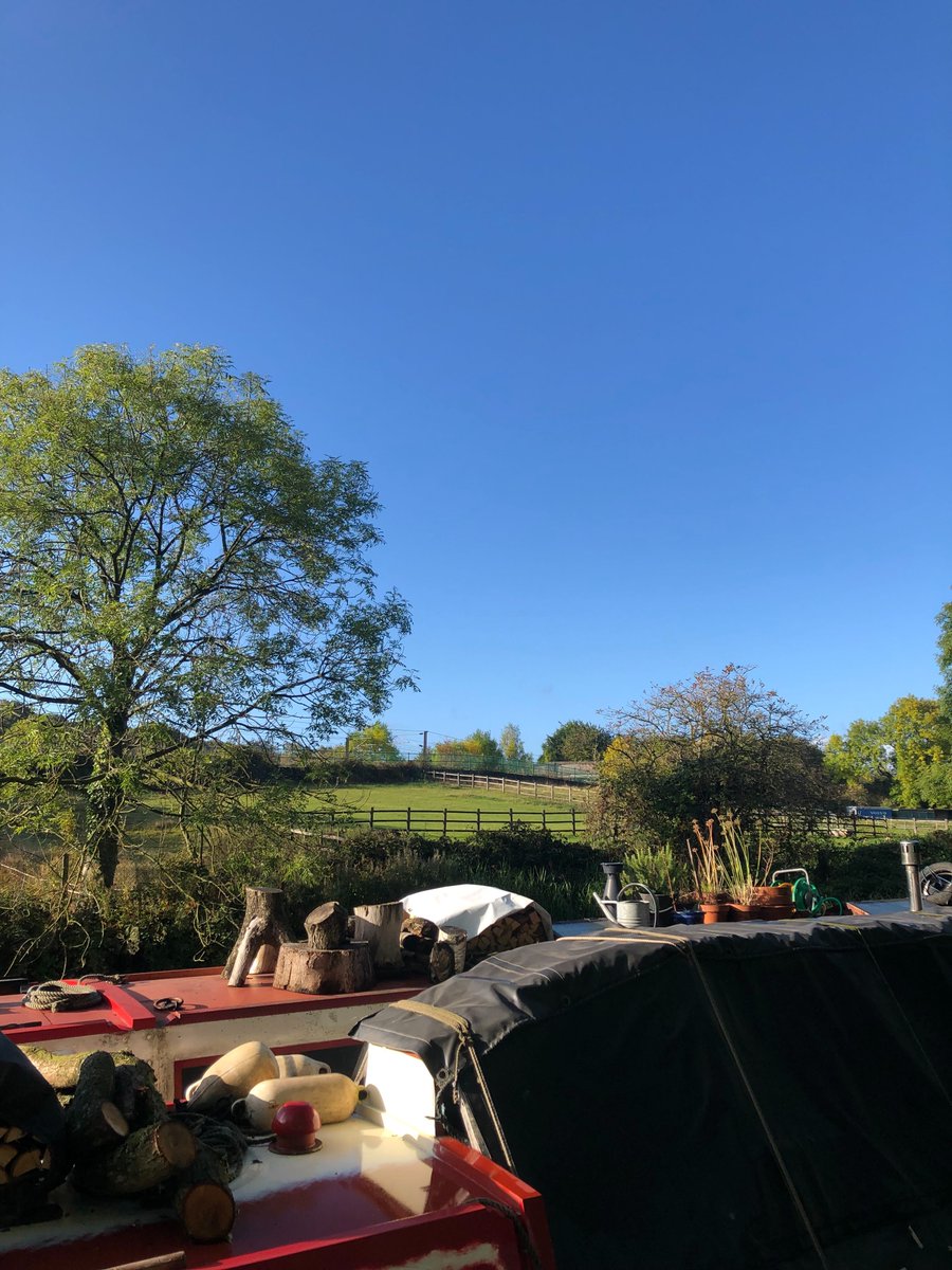 Happy Monday, people of Twitter☀️

Today is World Mental Health Day and we're kicking off by going for a well-being walk, taking time to catch up with the wider team, get out in the fresh (cold) air 🍃🌬

#Titus #PeopleFirst #WorldMentalHealthDay