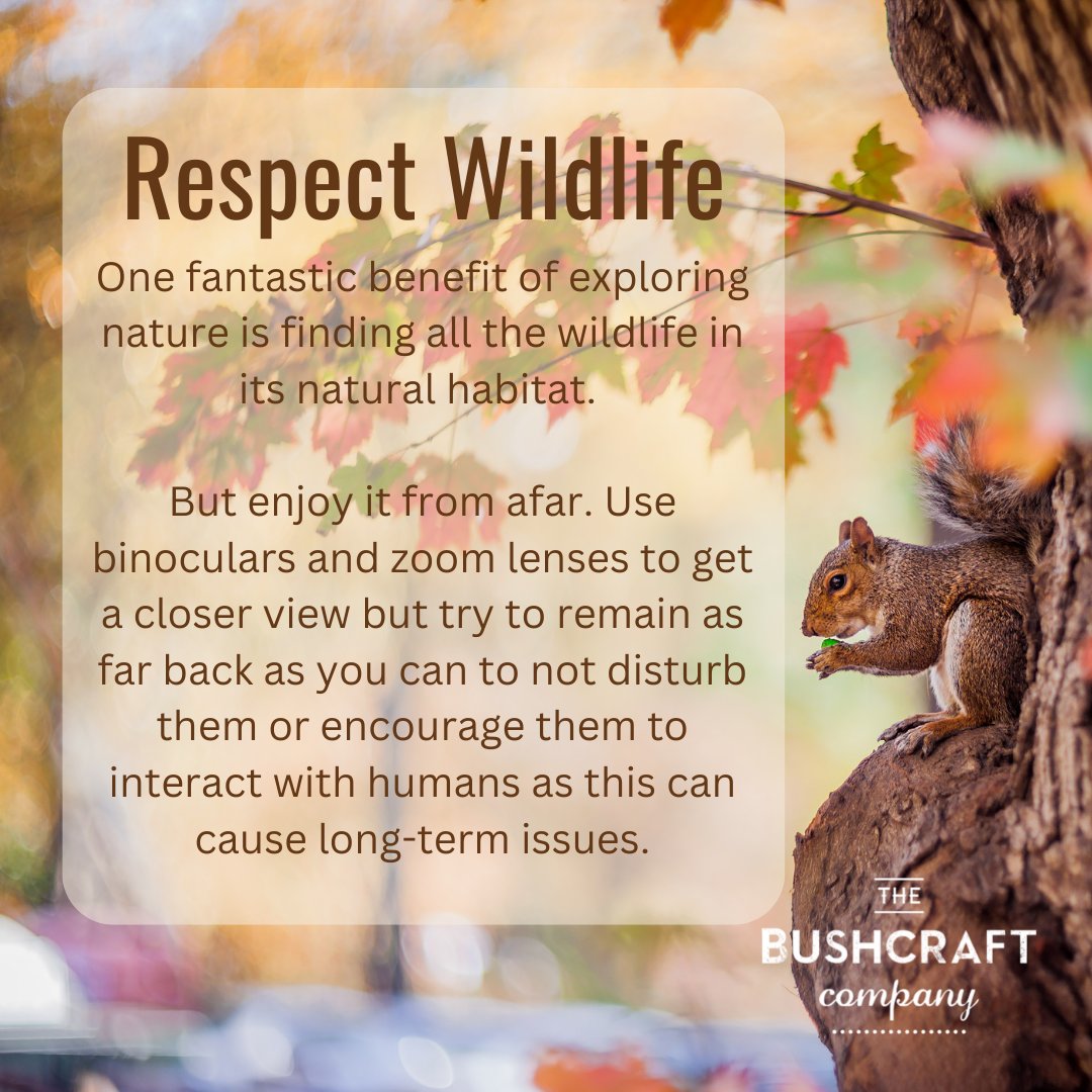 We thought let's revisit the LNT movement AKA Leave No Trace. The three most important things to remember are : Take Nothing Waste Disposal Respect Wildlife Swipe to read more about each! #Exploreoutdoors #TheBushcraftCompany #Nature #Leavenotrace #outdooreducation