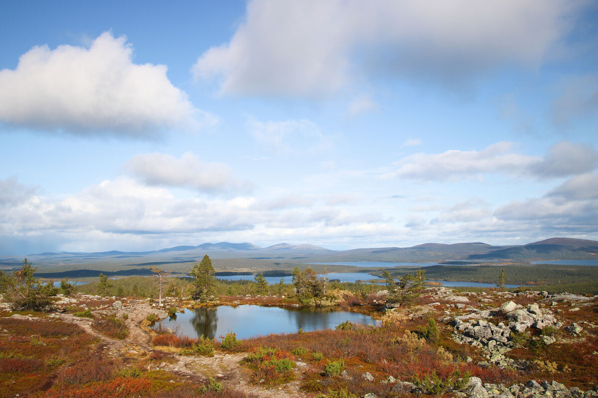 Breathe in the cleanest air in the world in Muonio. Plan your trip:  visitfinland.com/en/journey/5c5… 📸Mariia Kauppi #VisitFinland #OurFinland