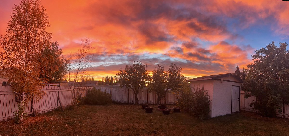 miksmedia tweet media