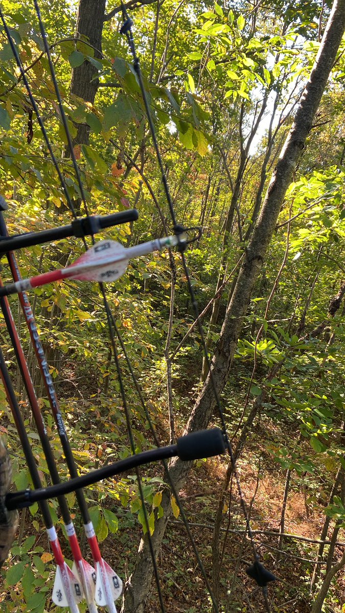 I will just stay here till my attitude gets better