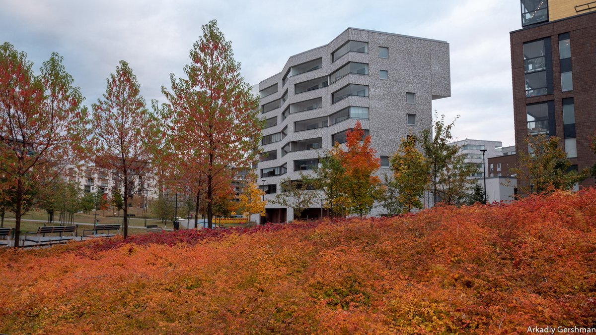 ArkadiyUrban's tweet photo. Great example of landscape architecture in the new district of Helsinki.

Under this landscaping there is a parking. https://t.co/EA3BPMBTn3