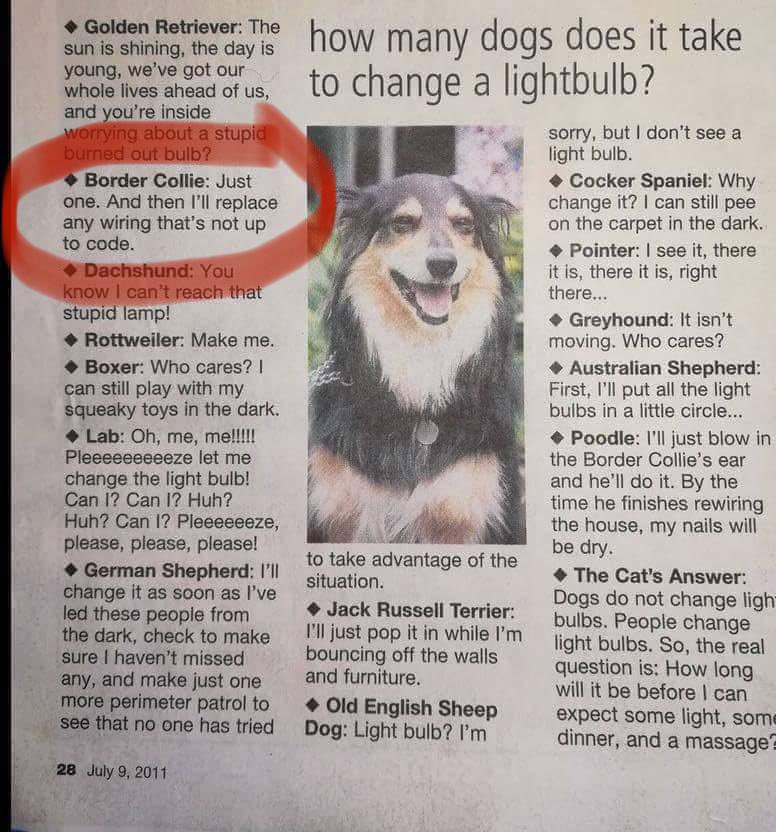 ArchieDog4's tweet photo. Brilliant and true 👇👏😹🐾💙😹 https://t.co/ZnnTVgCSc8