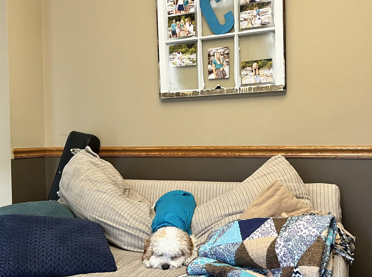 rrclevenger's tweet photo. Happy Monday from Mr. Pudge https://t.co/4oObmL5zOj