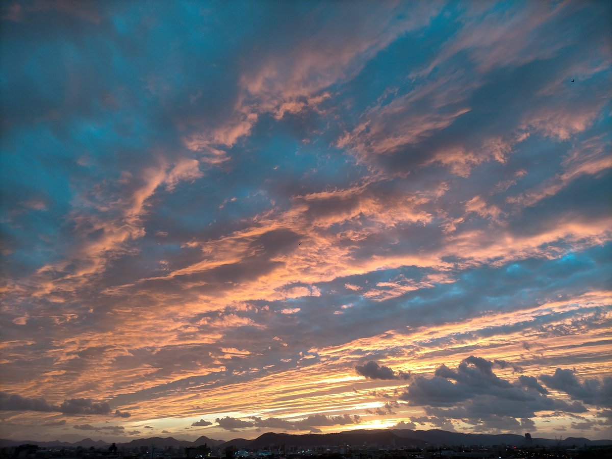 今日の夕焼け、よきでした