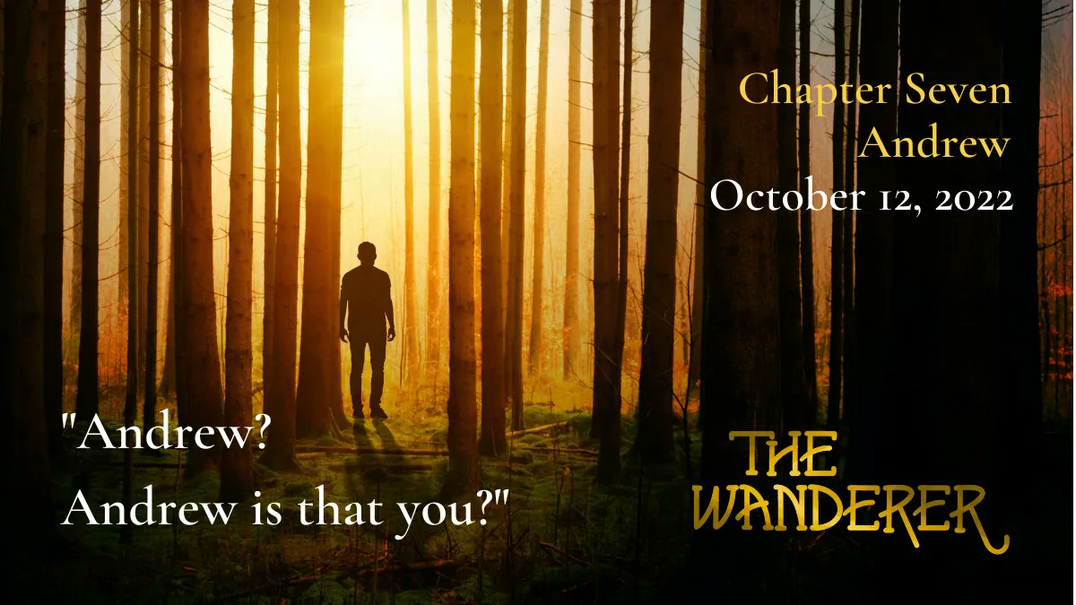 The Wanderer tweet media