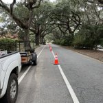 Photo by Bike Walk Savannah (@BikeWalkSav)