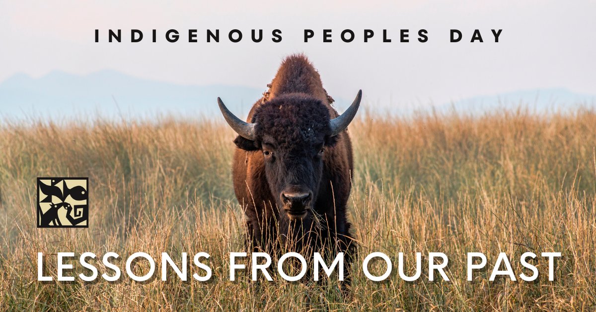 Turner Endangered Species Fund tweet media