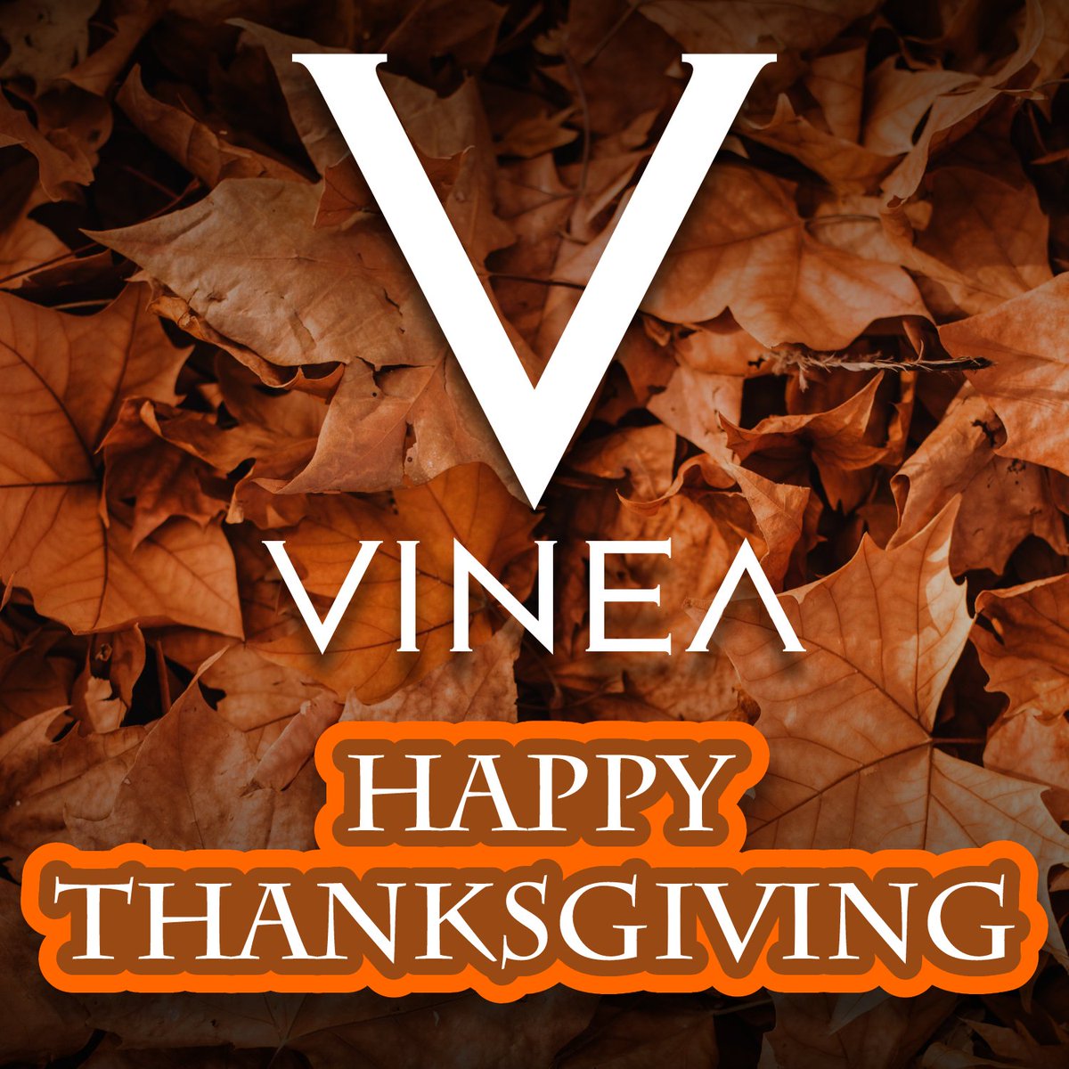 Vinea Spirit tweet media