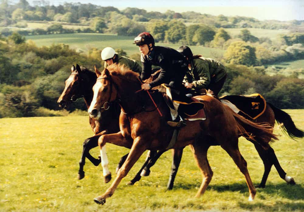 Fieldguard1 tweet picture