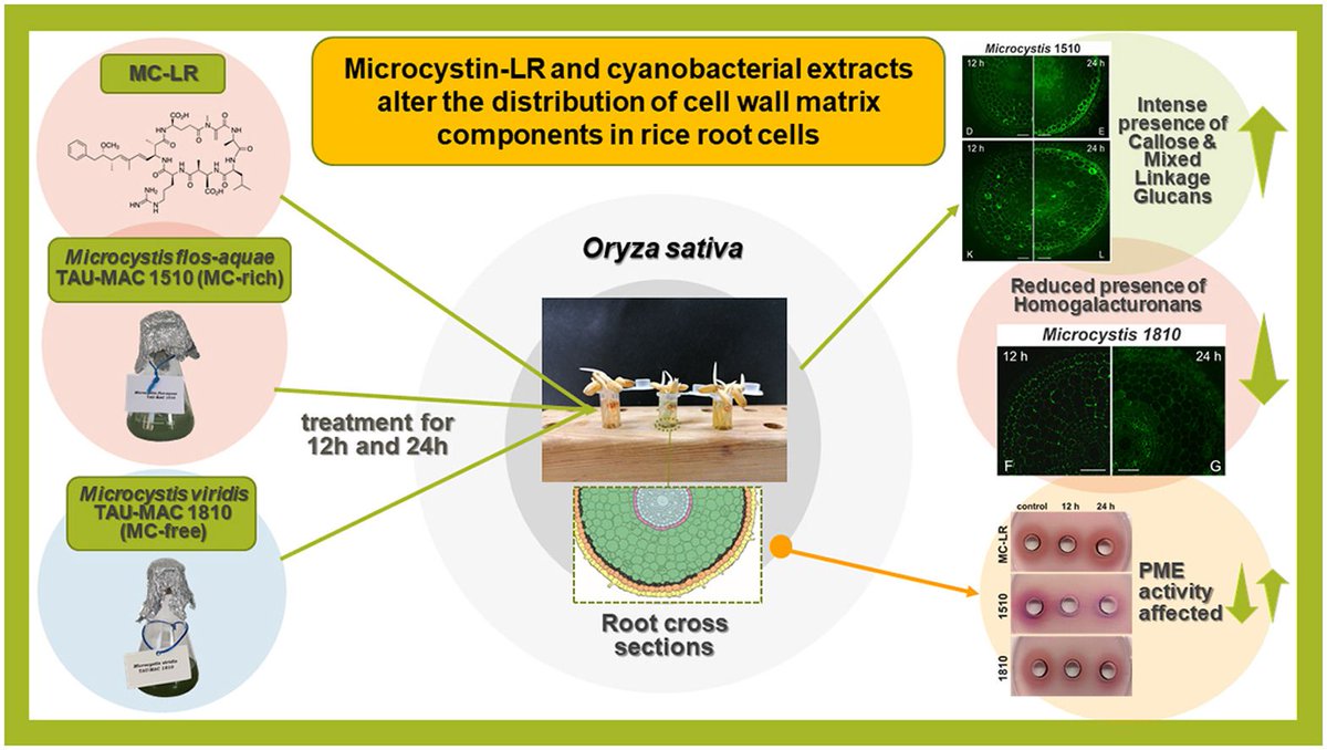 Biology AuTh tweet media