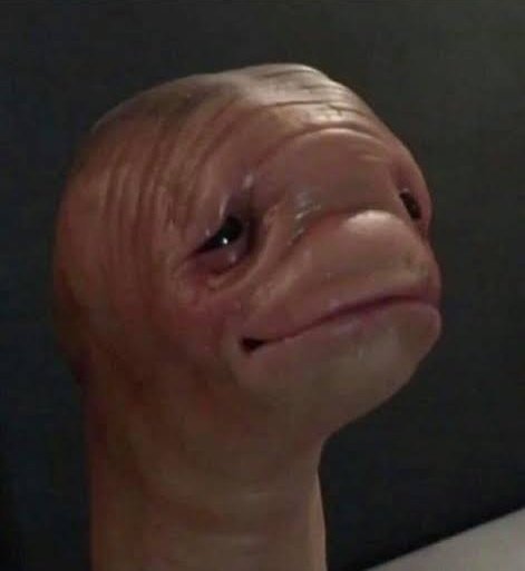 Anabel 🤍🍋🦖 tweet media