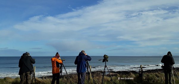 2/6 In January &amp; March 2020, we deployed concurrent citizen science vantage point surveys and digital aerial surveys across the Moray Firth SPA to survey 11 species of inshore wintering waterfowl. #CitizenScience #BOUasm22 #sesh1