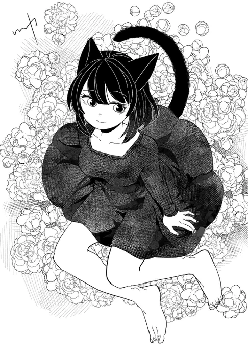 🐈 