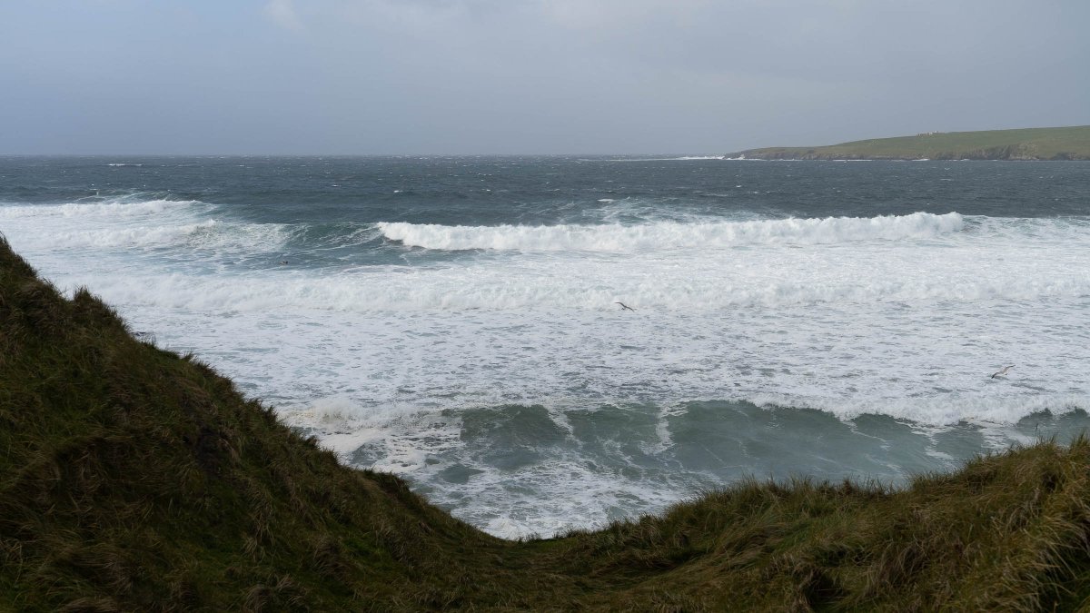 Ross Mackenzie tweet media