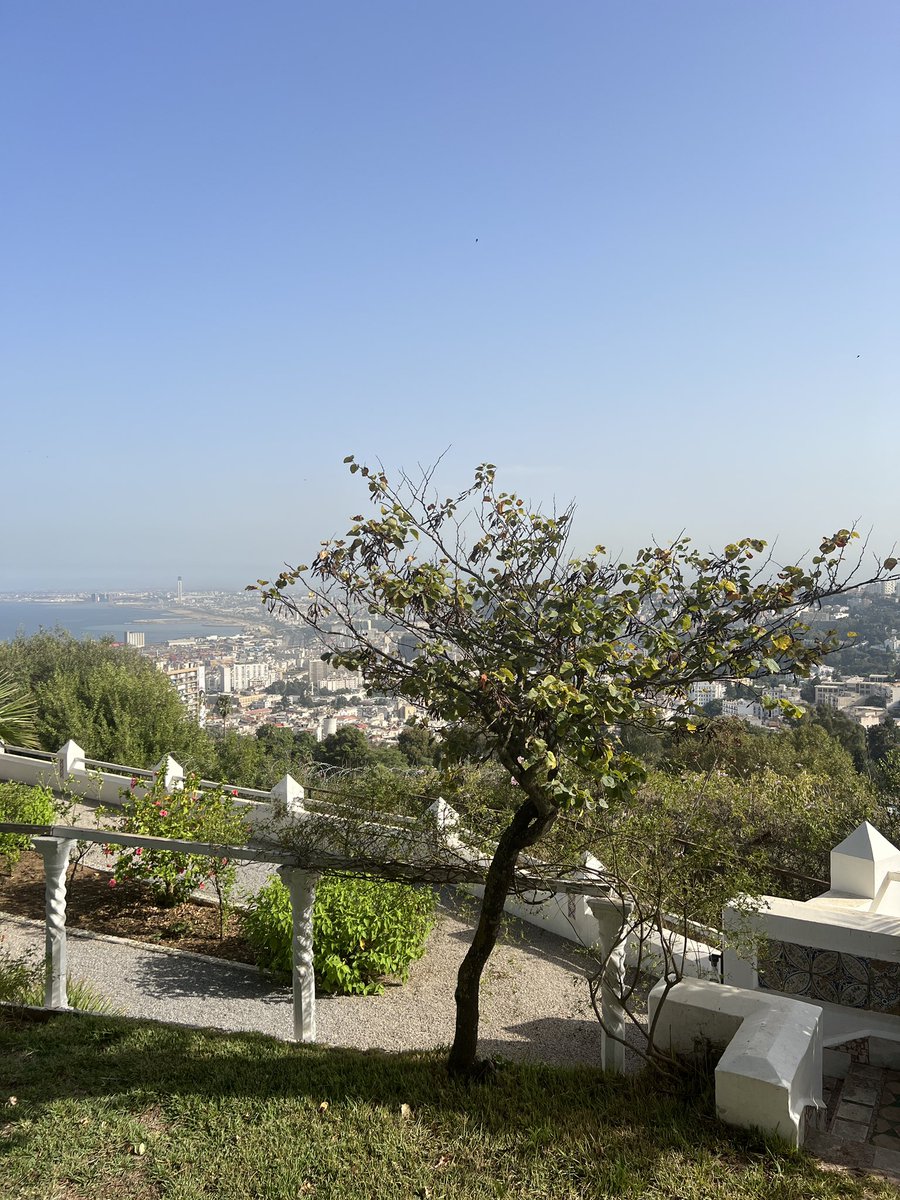 La visite d’Elisabeth Borne à Alger touche à sa fin. Dès son retour à Paris, une réunion d’urgence sur les carburants se tiendra à Matignon. Autour de la table, Gérard Darmanin, Agnès Pannier Runacher, Olivier Veran et Clément Beaune. <a href="/TF1Info/">TF1Info</a> <a href="/LCI/">LCI</a>
