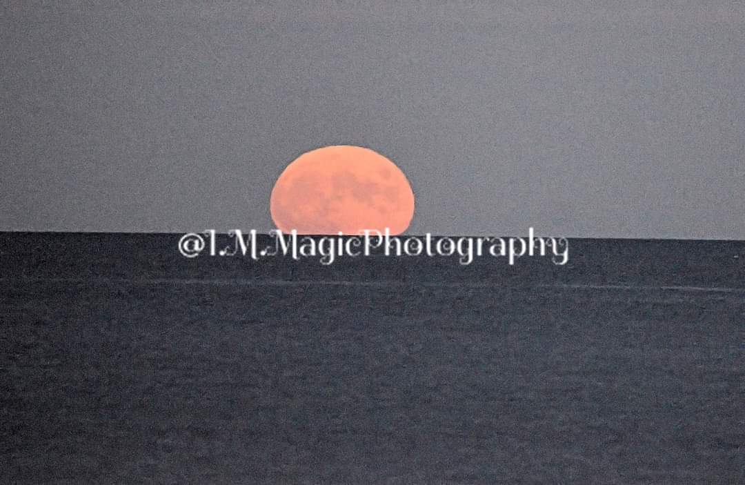 IrishRedSox77's tweet photo. Moonrise over the Atlantic Ocean in Wells, ME last night. @IMMagicPhoto #FullMoon #Moonrise #IMMagicPhotography https://t.co/Qh4hTfSy7A