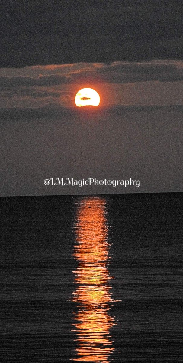 IrishRedSox77's tweet photo. Moonrise over the Atlantic Ocean in Wells, ME last night. @IMMagicPhoto #FullMoon #Moonrise #IMMagicPhotography https://t.co/Qh4hTfSy7A