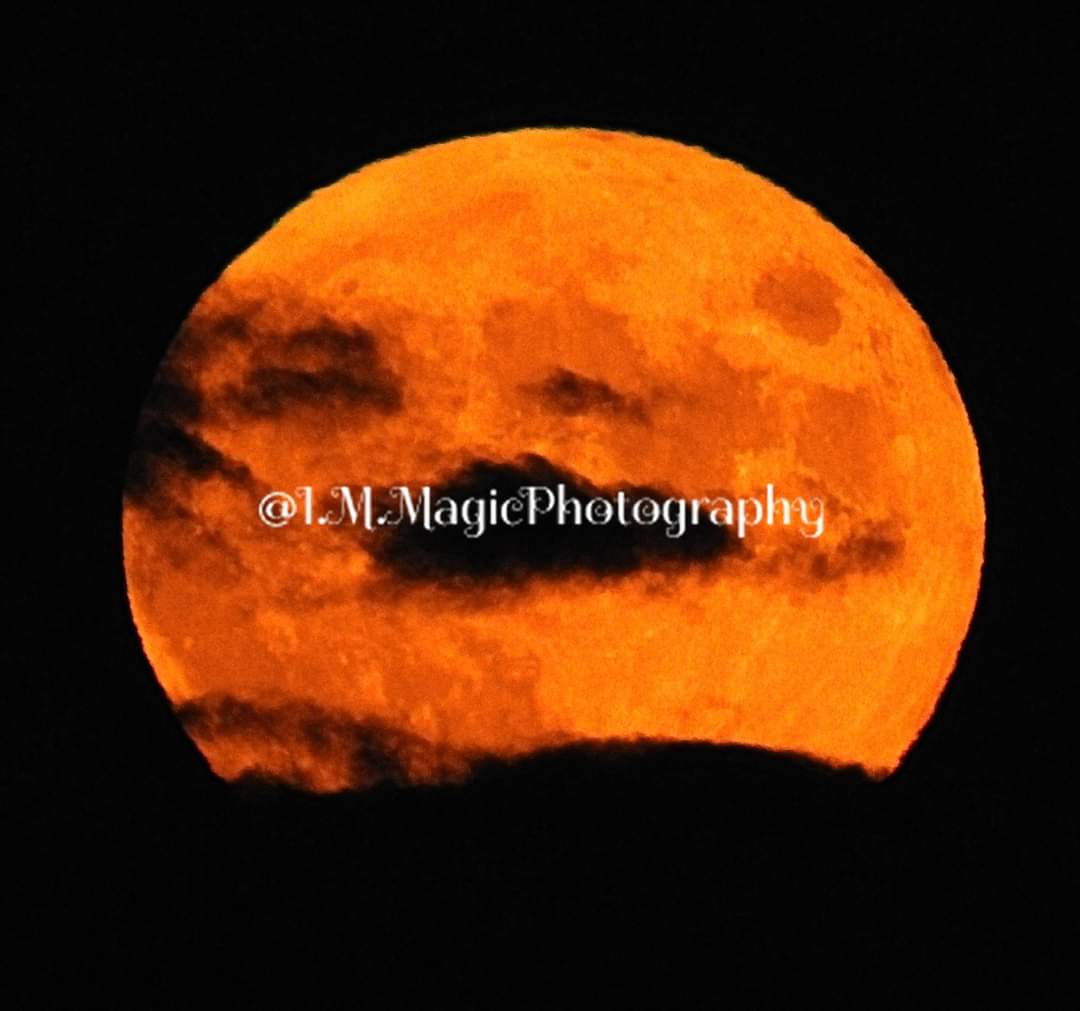 IrishRedSox77's tweet photo. Moonrise over the Atlantic Ocean in Wells, ME last night. @IMMagicPhoto #FullMoon #Moonrise #IMMagicPhotography https://t.co/Qh4hTfSy7A