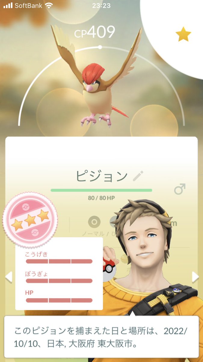 ポケモンgo ピジョンの色違い 入手方法と実装状況 攻略大百科