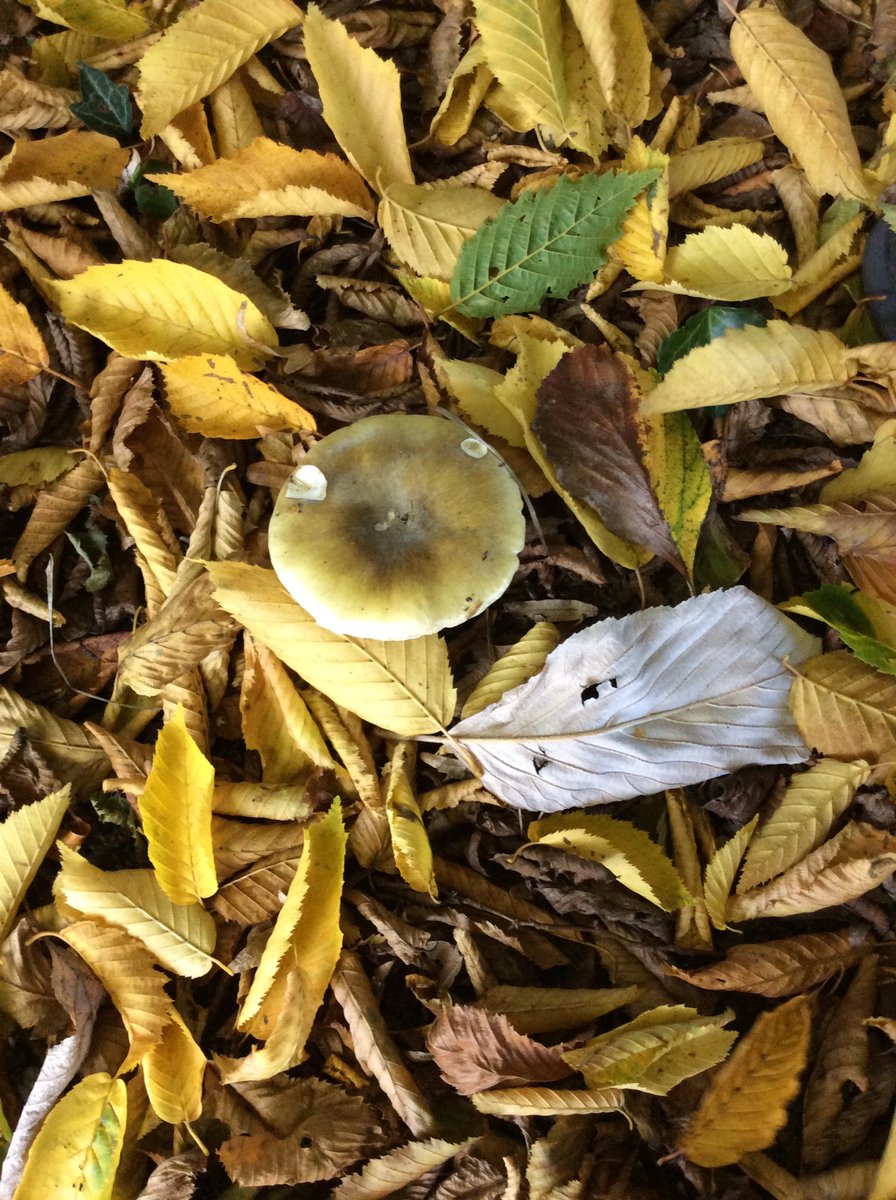 BPS EYFS tweet media