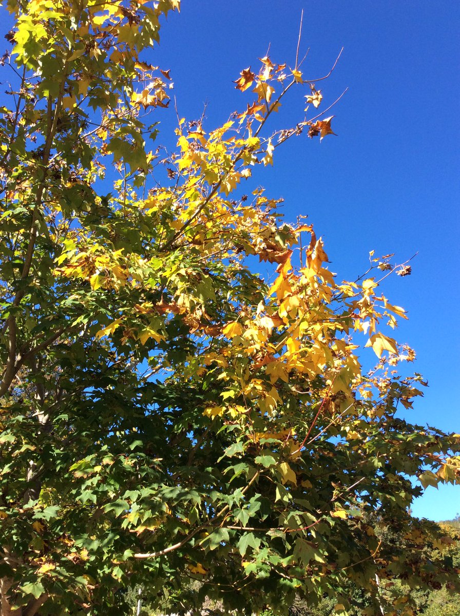 BPS EYFS tweet media