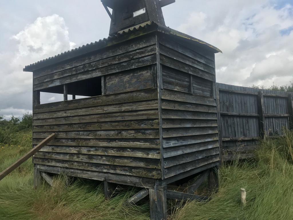 We are extremely sad to report that due to arson the bird hide at Lion Creek in Canewdon has been destroyed. This also includes the barn owl box attached to the hide, the board walk and areas of saltmarsh and scrub <a href="/EssexWildlife/">Essex Wildlife Trust</a>