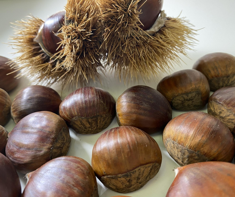 WeTipico (@altragamma) on Twitter photo 