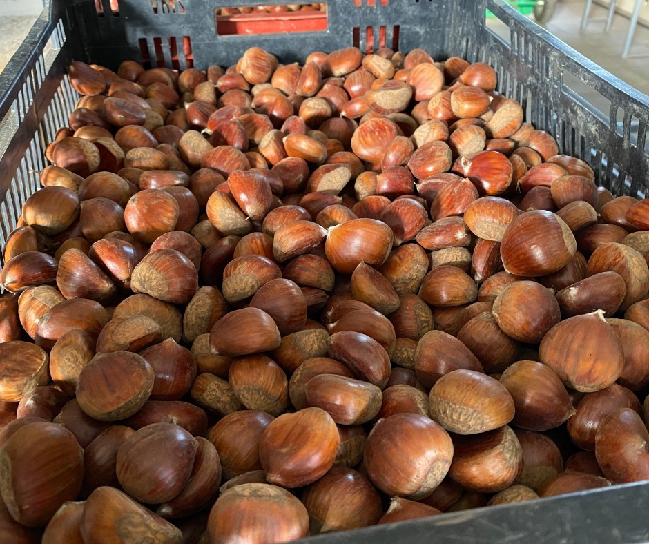 WeTipico (@altragamma) on Twitter photo 