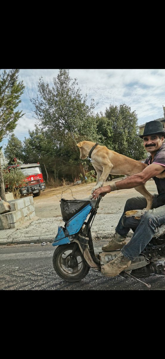 KingSlim1993's tweet image. How cute is this? 😍