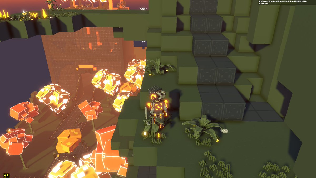 Rob Brok tweet media