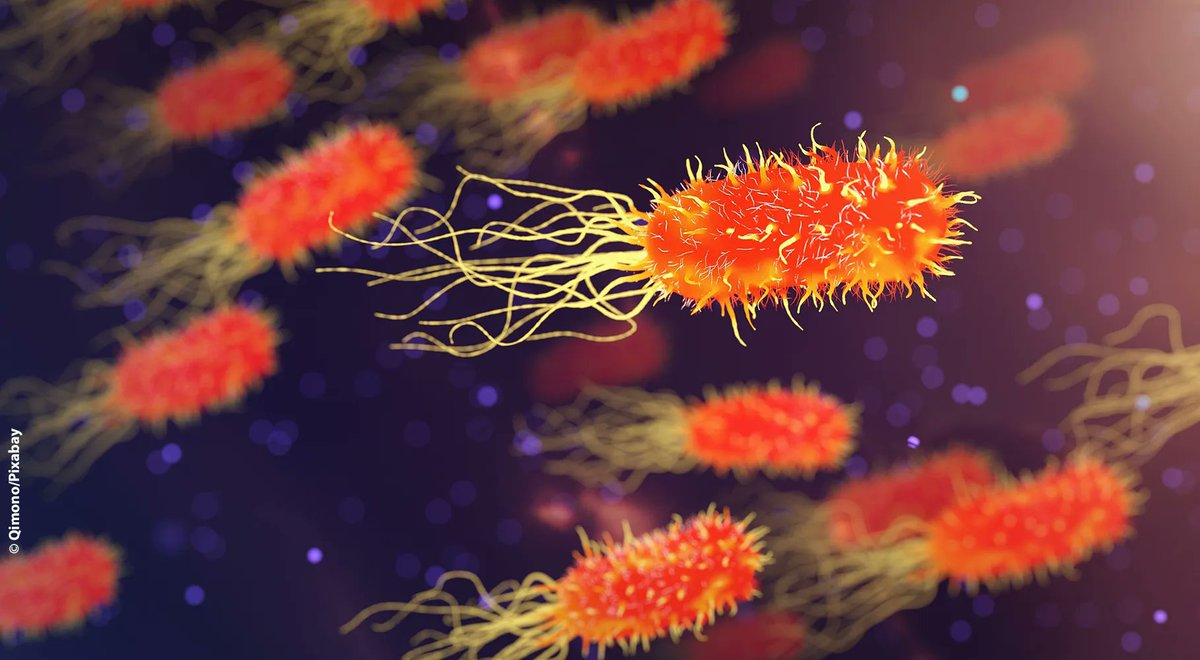 CNRS Sciences informatiques (@cnrsinformatics) on Twitter photo #Distinction 🏆 |"Considérer les bactéries et les virus comme des systèmes distribués permet à la fois de comprendre et de modifier la nature" <a href="/nowathom/">Thomas Nowak</a> <a href="/lmf_lab/">Laboratoire Méthodes Formelles</a>, #IUF junior chaire fond. <a href="/InstUnivFr/">Institut universitaire de France (IUF)</a>
➡️ins2i.cnrs.fr/fr/cnrsinfo/th…
🤝<a href="/CNRSIdFSud/">CNRS à Paris-Saclay</a> <a href="/UnivParisSaclay/">Université Paris-Saclay</a> @ENS_ParisSaclay #Distinction 🏆 |"Considérer les bactéries et les virus comme des systèmes distribués permet à la fois de comprendre et de modifier la nature" <a href="/nowathom/">Thomas Nowak</a> <a href="/lmf_lab/">Laboratoire Méthodes Formelles</a>, #IUF junior chaire fond. <a href="/InstUnivFr/">Institut universitaire de France (IUF)</a>
➡️ins2i.cnrs.fr/fr/cnrsinfo/th…
🤝<a href="/CNRSIdFSud/">CNRS à Paris-Saclay</a> <a href="/UnivParisSaclay/">Université Paris-Saclay</a> @ENS_ParisSaclay