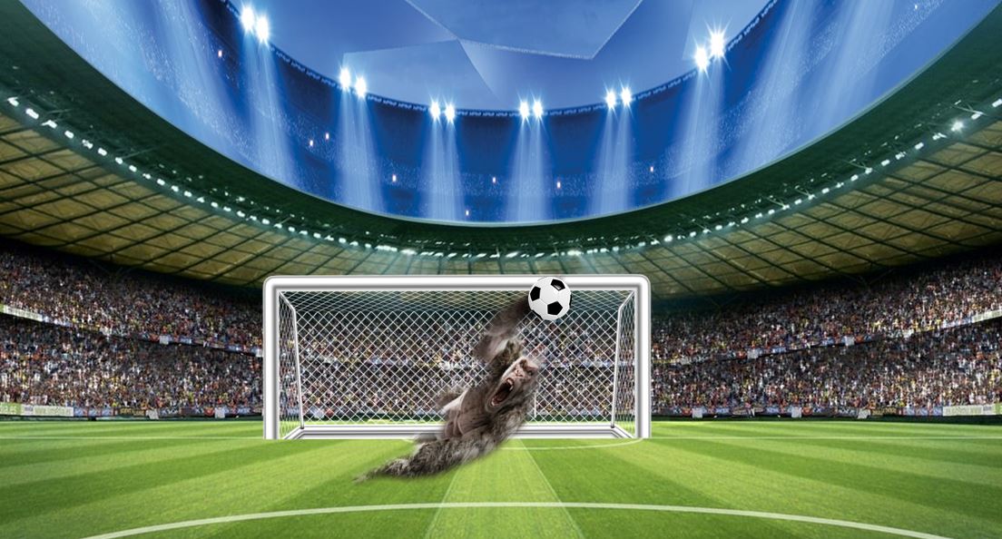 eprestigexyz's tweet photo. Goalkeeper King Kong #NFTs
https://t.co/cSqtlmAhLJ
#NFT #NFTGiveaway #NFTMarketplace #NFTGiveaways #NFTCommunity #NFTCommmunity #nftart #NFTdrops #NFTdrop #NFTartist #NFTcollections #nftcollector #nftart #NFTProject #NFTsales #nftsale  #NFTDay #nftcollectors 
#ePhoenix #Nfts #Nft https://t.co/oatAfkOt9B