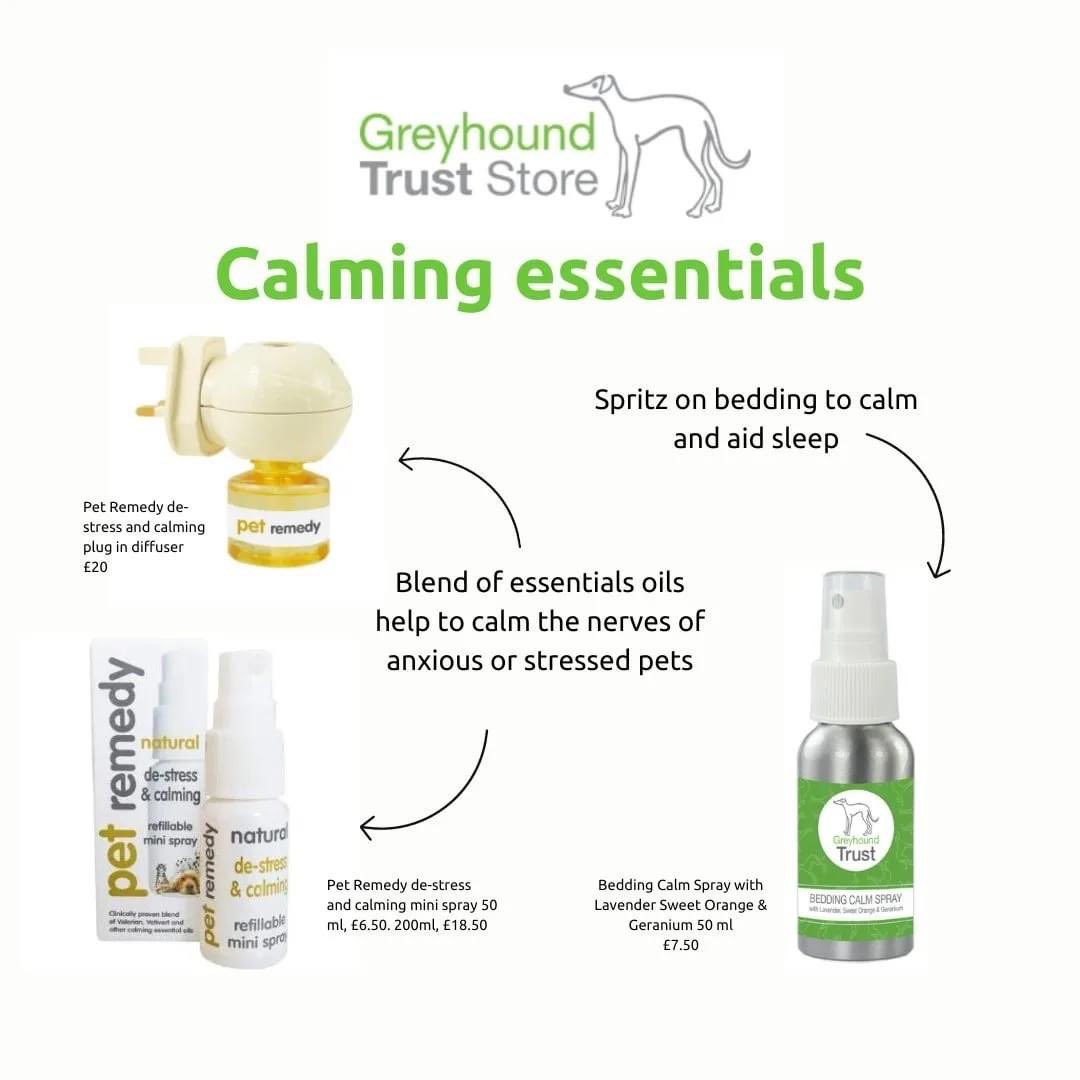 The Kennel Club UK says 80% of owners notice a change in their dogs behaviour during firework season, We'll be sharing some tips to keep your hound happy over the next few weeks. Also have range of calming products we have available in our online store greyhoundtruststore.com
