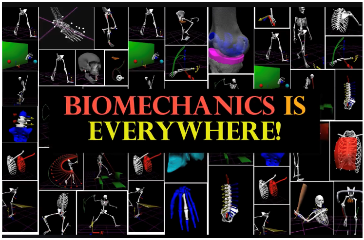 BiomechanicsDay's tweet photo. ...and as you can see, National Biomechanics Day 2023 is officially April 5... nominally, of course. You can hold your NBD event on any date that works best for you! Please register for #NBD2023: https://t.co/mzZpeVg8Bq https://t.co/cMWyJrAqqD