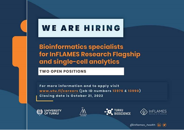 #HIRINGNOW #singlecell #dataScientist #bioinformatics #graduatejob #postdocjob
Join our multicultural and multidisciplinary community! @BioscienceTurku @InFLAMES_Health @UniTurku @AboAkademi
More information about the positions: bit.ly/3fPtnWl & bit.ly/3Mjoels