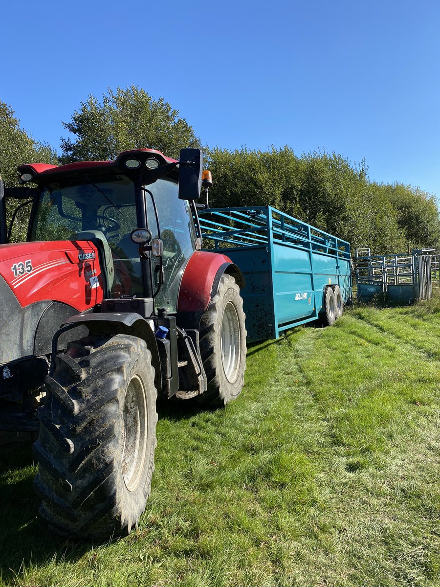 Joe Delves tweet media