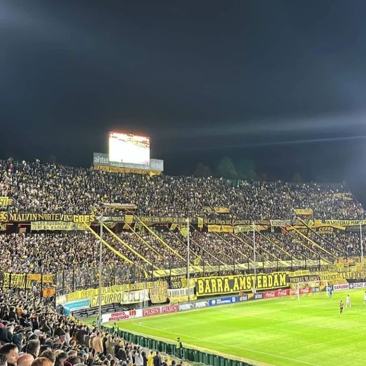 LA VIDA POR PEÑAROL👊🏽 tweet media