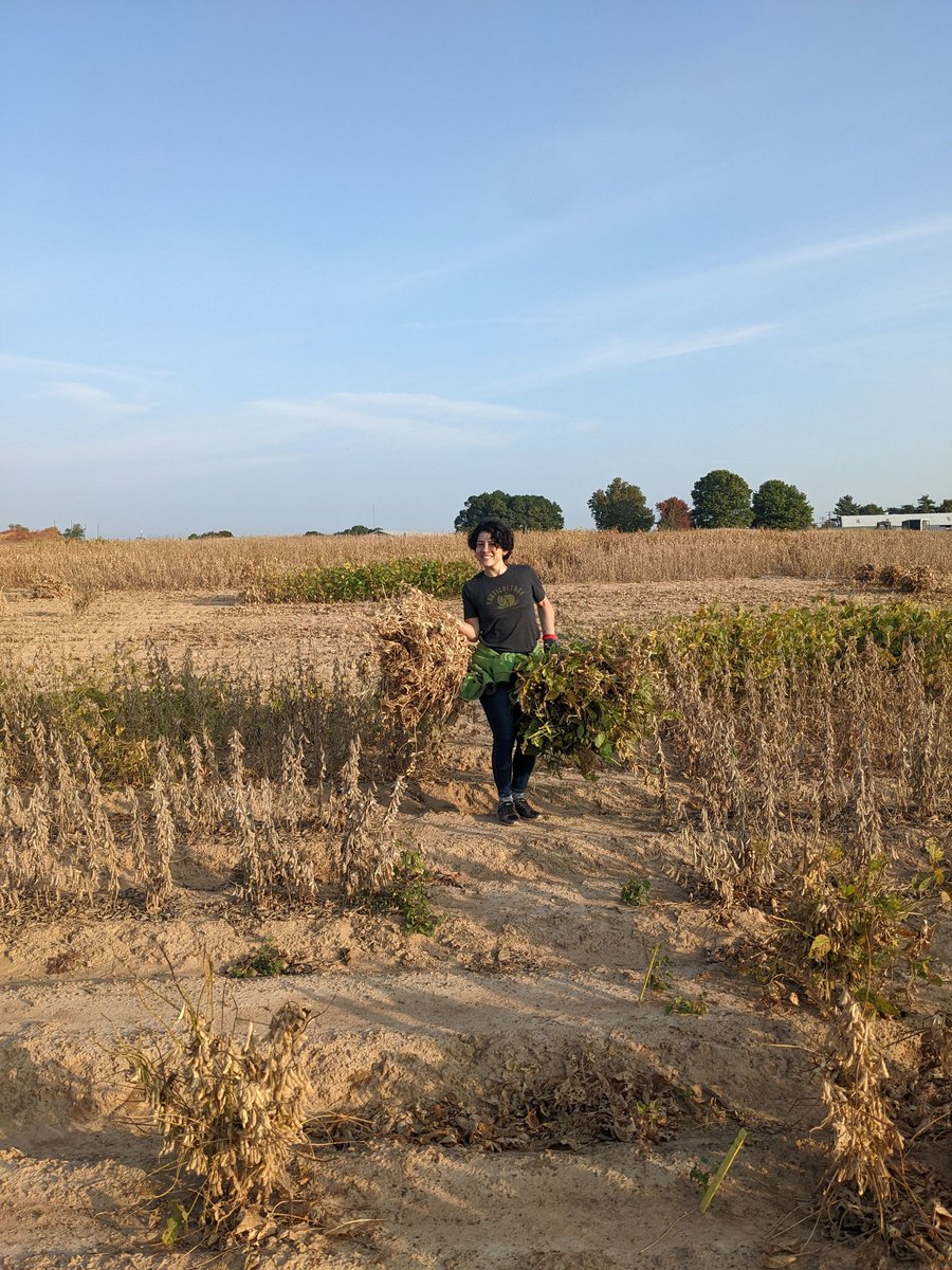Qiurong Fan (@qiurongf) on Twitter photo Starting our Monday morning in the soybean field <a href="/zaia_rafael/">Rafael Zaia</a> @SPEL_UARK <a href="/ArkansasEPP/">Arkansas Entomology and Plant Pathology</a> Starting our Monday morning in the soybean field <a href="/zaia_rafael/">Rafael Zaia</a> @SPEL_UARK <a href="/ArkansasEPP/">Arkansas Entomology and Plant Pathology</a>