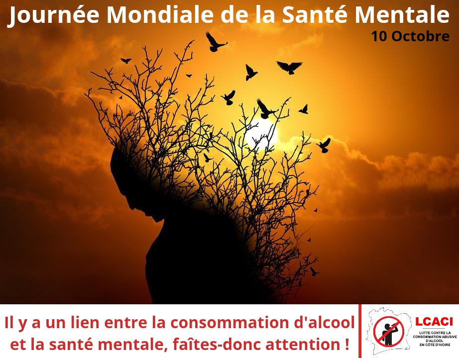 OngLcaci's tweet photo. Le lien entre la #santementale existe bel et bien, faîtes donc attention ! Chers adultes, consommez l’alcool de façon modérée. Aux enfants de moins de 18 ans interdiction d'en consommer.
À vous qui souffrez de troubles de santé mentale, abstenez-vous de boire de l’alcool !#lcaci https://t.co/iQIdM1Q6nO