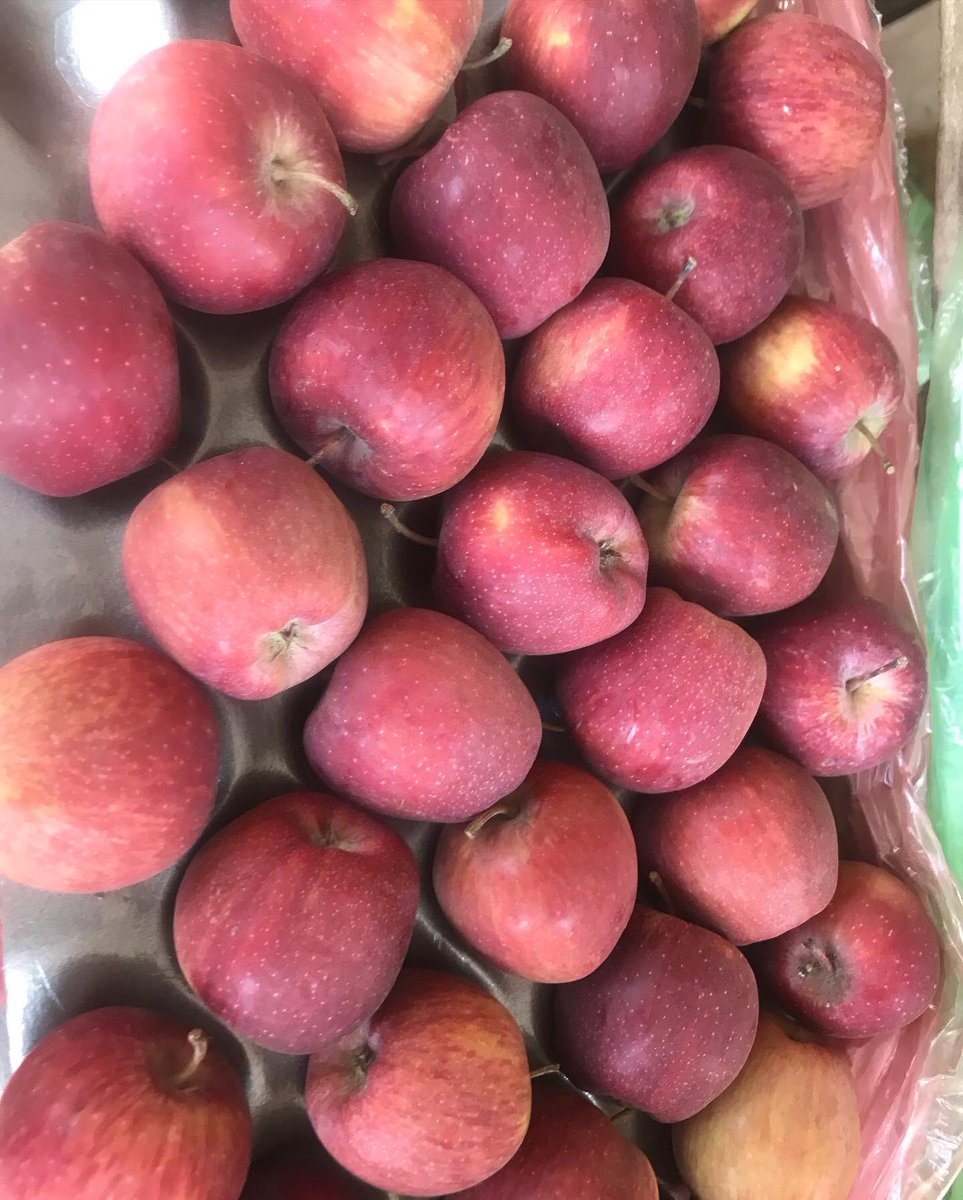 Shallybee_fruit's tweet photo. Small size apple-4 for 500
Clementine-300/each
Dm/WhatsApp 08166172852 https://t.co/zFZuxx7a3l