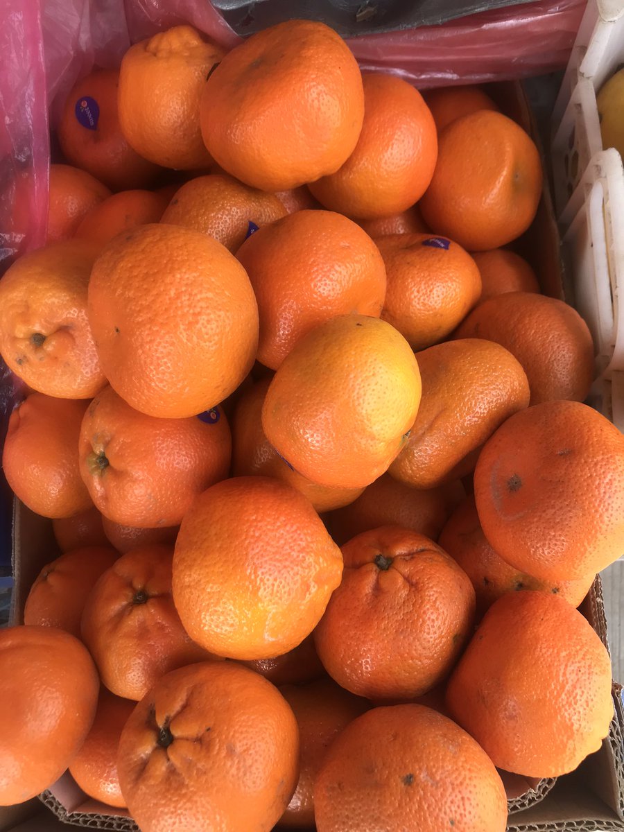 Shallybee_fruit's tweet photo. Small size apple-4 for 500
Clementine-300/each
Dm/WhatsApp 08166172852 https://t.co/zFZuxx7a3l