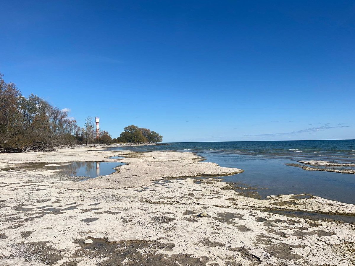 Beauty walk at Point Petre today. Less than a 10 minute drive from my cottage. 2 hours of warm, sunny and quiet. #pointpetre #PEC #getoutside #October10th