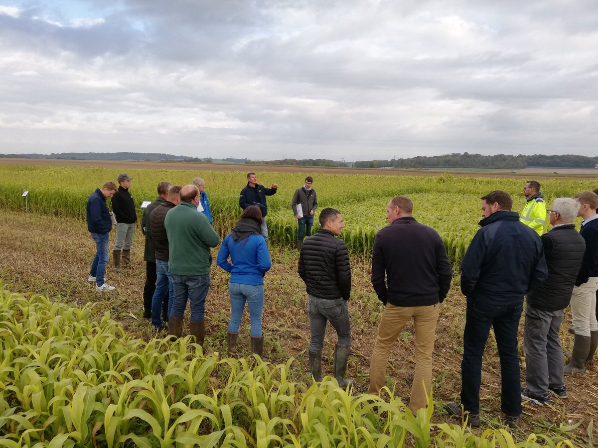 ServtecPvNORIA's tweet photo. Journée #optilab Cive d'été #methanisation
👉 bcp d'enseignements sur les techniques d'implantation et ls espèces ds le contexte chaud 🥵 et sec #été 2️⃣0️⃣2️⃣2️⃣
@noriapcoop @agrosolutions @RoblesNatalia @GuillaumeBOYET @SucNicolas @Cultivarlemag @ReneePREVOST80 @DelamareNoriap https://t.co/V1wYM5vqy7