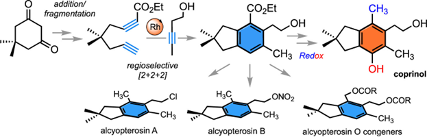 JOC_OL's tweet photo. Making highly substituted benzene rings just got a little easier. Check out recent work in #JOC from @amirtavakoli92 and @gregorydudley10 @wvuchemistry https://t.co/lzMjdde0TY https://t.co/emPjcogNfw
